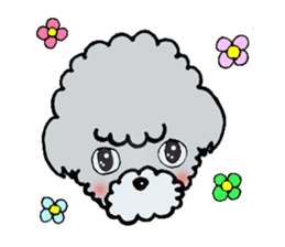 Silver toy poodle sticker #2461814