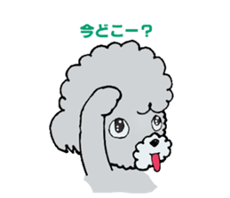 Silver toy poodle sticker #2461815