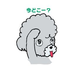 Silver toy poodle sticker #2461815