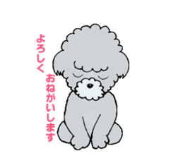 Silver toy poodle sticker #2461816