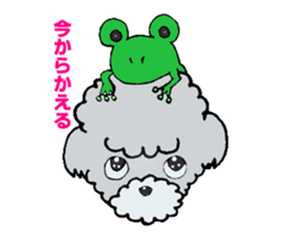 Silver toy poodle sticker #2461817