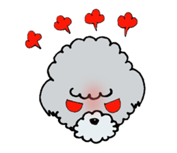 Silver toy poodle sticker #2461824