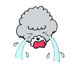 Silver toy poodle sticker #2461826