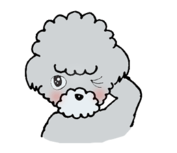 Silver toy poodle sticker #2461828