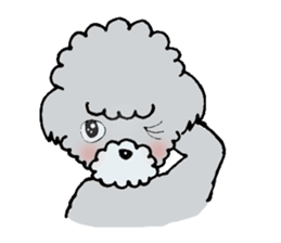 Silver toy poodle sticker #2461828