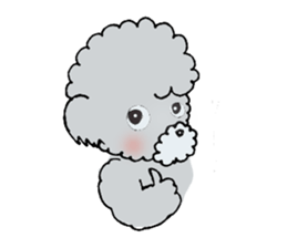 Silver toy poodle sticker #2461831