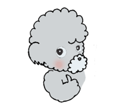Silver toy poodle sticker #2461831