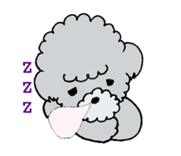 Silver toy poodle sticker #2461833