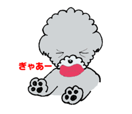 Silver toy poodle sticker #2461834