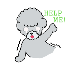 Silver toy poodle sticker #2461836