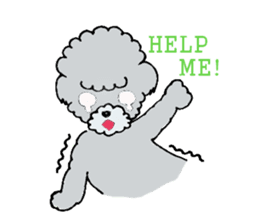 Silver toy poodle sticker #2461836