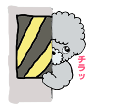 Silver toy poodle sticker #2461837