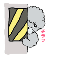 Silver toy poodle sticker #2461837