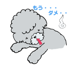 Silver toy poodle sticker #2461838