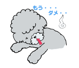 Silver toy poodle sticker #2461838
