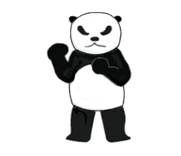 Angry Panda is coming to town! sticker #2462009