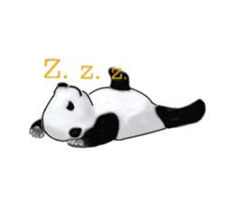 Angry Panda is coming to town! sticker #2462022