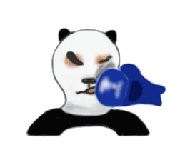 Angry Panda is coming to town! sticker #2462029