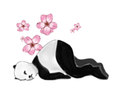 Angry Panda is coming to town! sticker #2462033