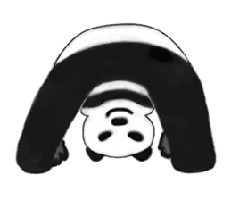 Angry Panda is coming to town! sticker #2462041