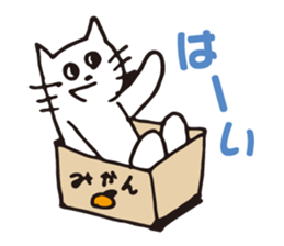 OK cat sticker #2463767