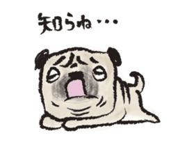 PUG's ... sticker #2468172