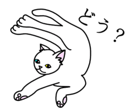 Odd-eye Cats sticker #2469488