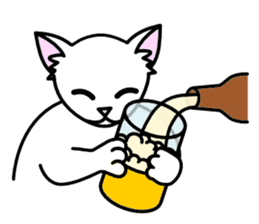 Odd-eye Cats sticker #2469493