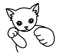 Odd-eye Cats sticker #2469494