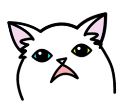 Odd-eye Cats sticker #2469495