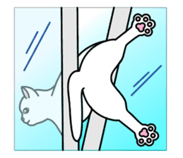 Odd-eye Cats sticker #2469496