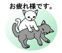 Odd-eye Cats sticker #2469500