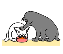 Odd-eye Cats sticker #2469501