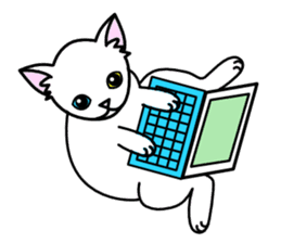 Odd-eye Cats sticker #2469502