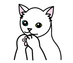 Odd-eye Cats sticker #2469504