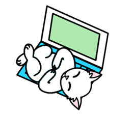 Odd-eye Cats sticker #2469505