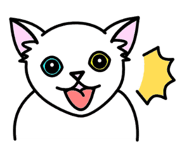 Odd-eye Cats sticker #2469508
