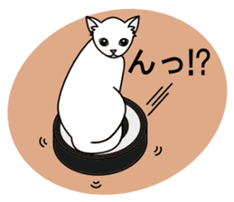 Odd-eye Cats sticker #2469511