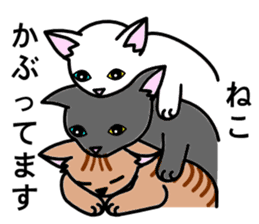 Odd-eye Cats sticker #2469515