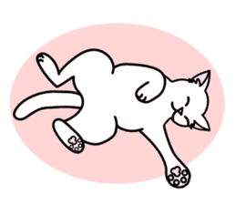 Odd-eye Cats sticker #2469521