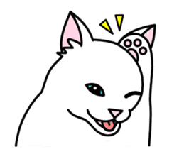 Odd-eye Cats sticker #2469524
