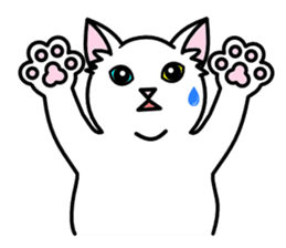 Odd-eye Cats sticker #2469525