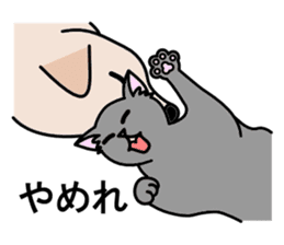 Odd-eye Cats sticker #2469527