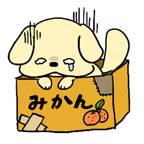 Sticker of puppy!! sticker #2470471