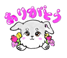 Miniature_Schnauzer sticker #2470813