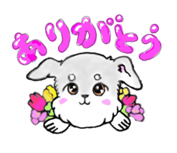 Miniature_Schnauzer sticker #2470813