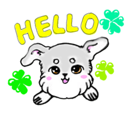 Miniature_Schnauzer sticker #2470817