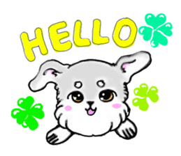 Miniature_Schnauzer sticker #2470817