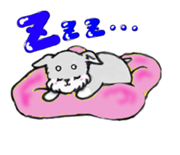 Miniature_Schnauzer sticker #2470821