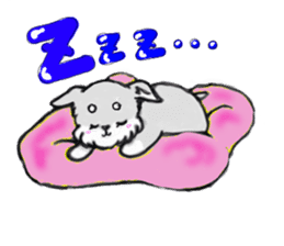 Miniature_Schnauzer sticker #2470821